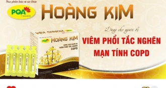 PQA Hoàng Kim có tốt không? Giá bao nhiêu? Mua ở đâu?